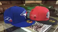 Raptors and Blue Jays hats Derozan And Donaldson 