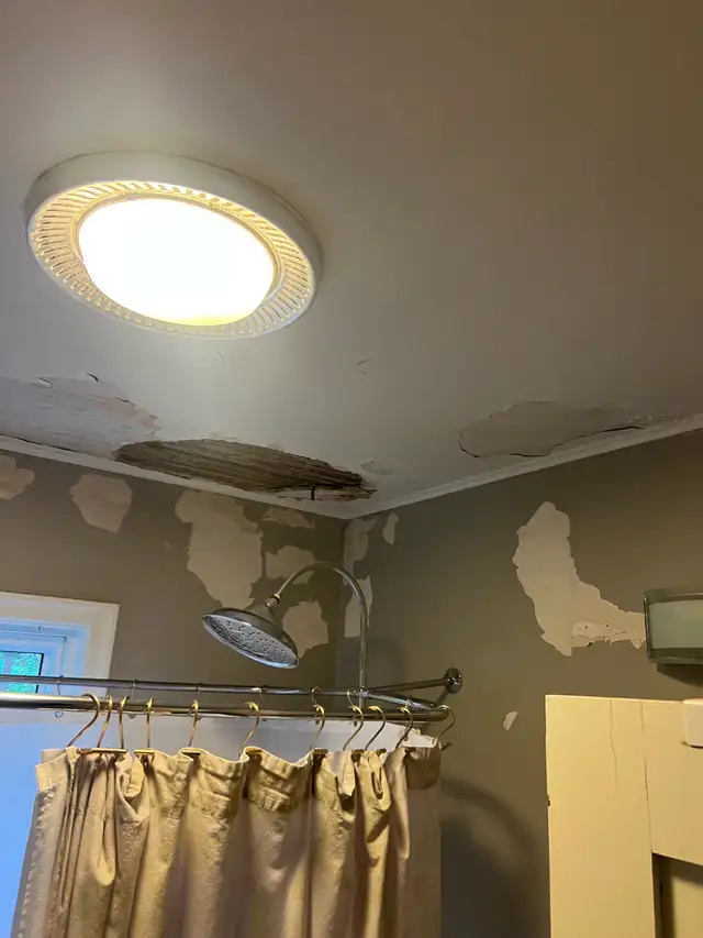 Handyman584651870925629441