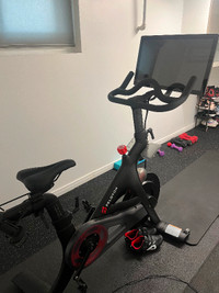 Peloton bike with mat, 3lb weights, and optional clip on shoes