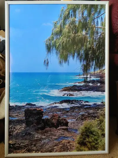 ~ 20% off Large Tropical Framed Picture ~, View more