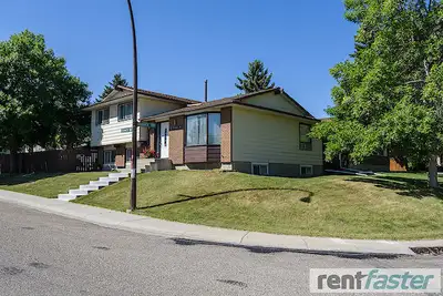 House for rent