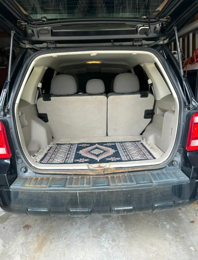 2010 Ford Escape472304585593344004