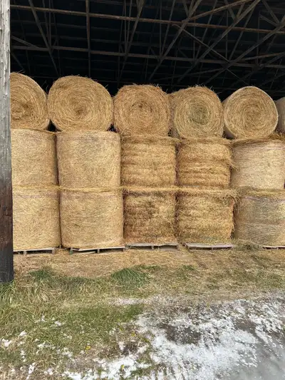4x4 round bales. Straight grass or Grass Alfalfa mix. Dry. Always stored inside. $50/ bale for large...
