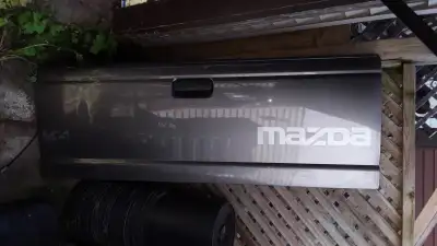 Truck was in an accident and I do not need the tailgate anymore. Tailgate might fit other light duty...