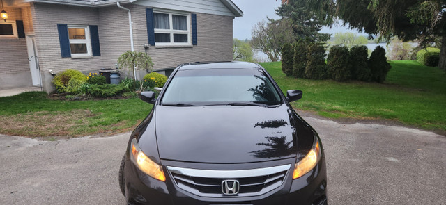 2011 Accord Coupe HFP. in Cars & Trucks in Brockville - Image 4