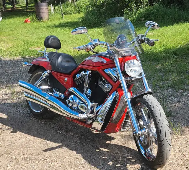 2006 Harley Davidson VRSCSE2 Screaming Eagle Vrod in Street, Cruisers & Choppers in Regina - Image 3