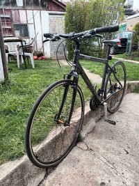 Opus Bike 