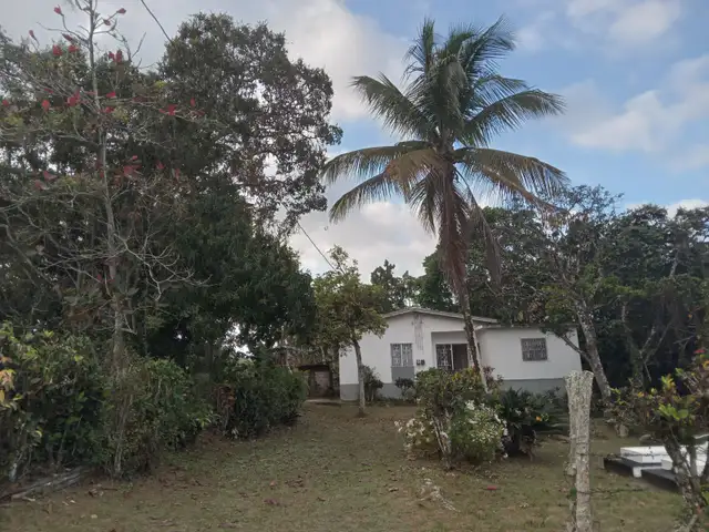 Rent House in Armadale Jamaica in Jamaica in Canada - Image 2