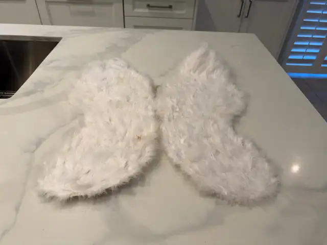 Halloween Costume: Angel Wings for $5!