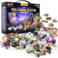Dan & Darci Rock, Fossil & Mineral Collection & Activity Kit