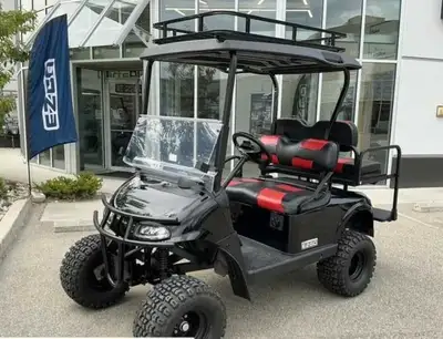 These are my 4 seat options avaliable. Most are brand new lithium. 3-5 year warranty. Black lifted 2...