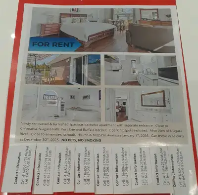 Newly renovated & furnished spacious bachelor apartment with separate entrance. Close to amenities....