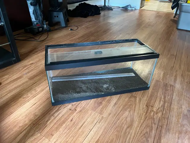 20 Gallon long tank in Fish for Rehoming in London - Image 2