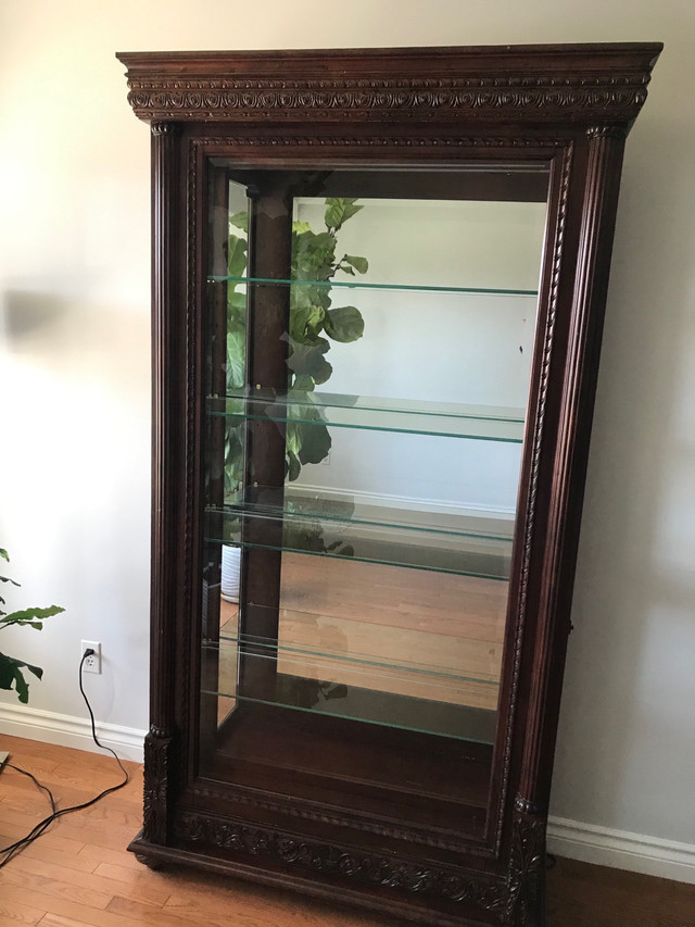 China cabinet/Display case in Hutches & Display Cabinets in Hamilton