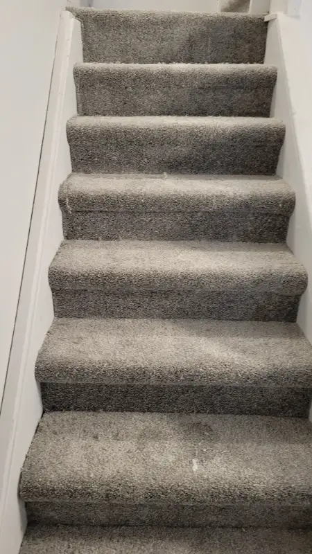 Flooring Kitchens Basements by Home Dealers62863245693954124