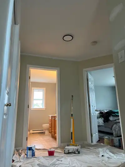 Professional Painter, View more