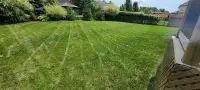  Grass cutting Landscaping ✅️✅️✅️✅️✅️