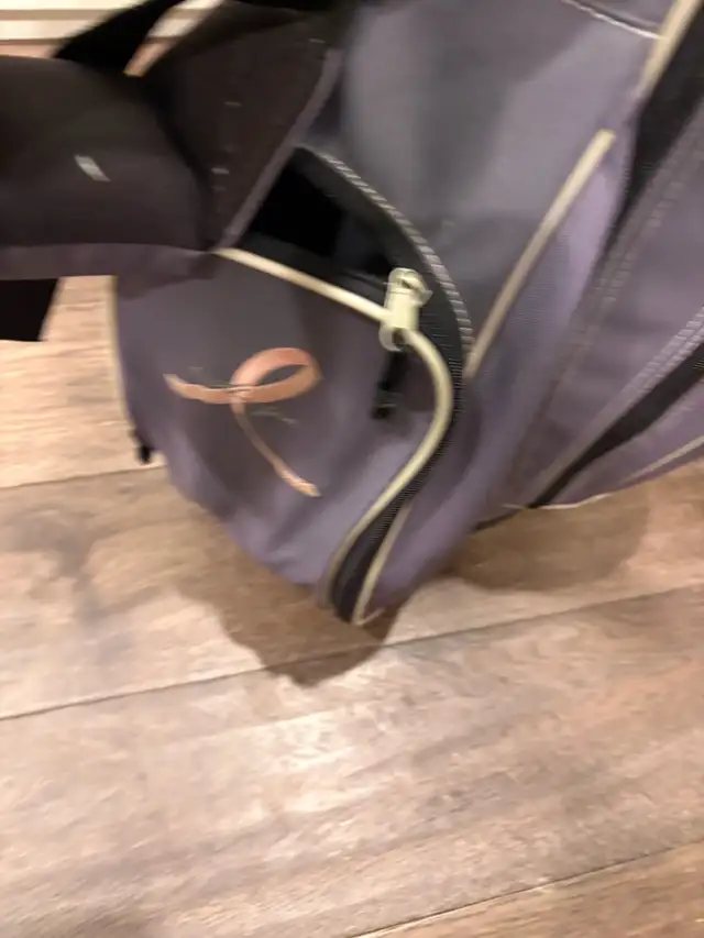 women’s right handed golf clubs and bag  in Golf in Guelph - Image 3