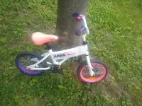 Cute kids 14" tire "Doodle" bike