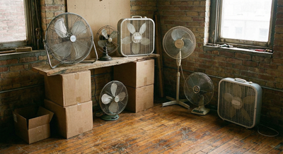 Fans à donner, View more