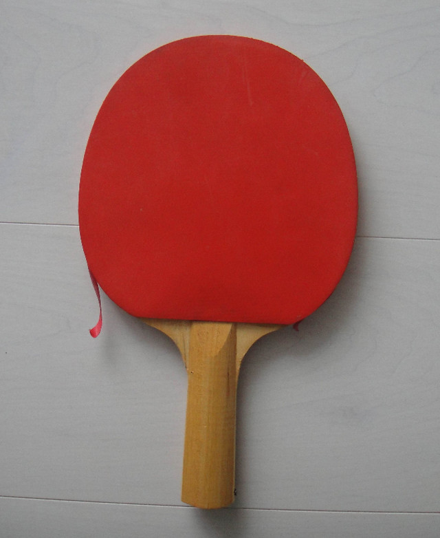 Ping Pong Paddle in Tennis & Racquet in Ottawa - Image 2
