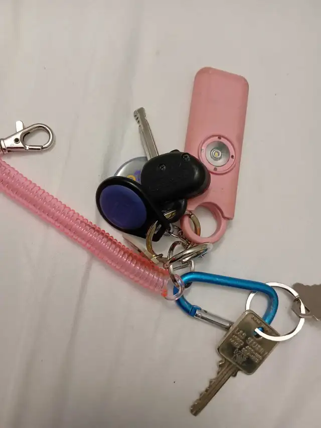 lost keys64589980019843120