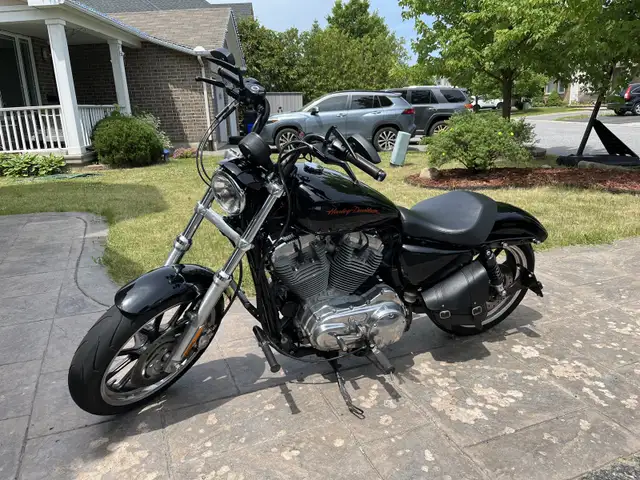 Harley Sportster 883 Superlow in Street, Cruisers & Choppers in Ottawa - Image 5