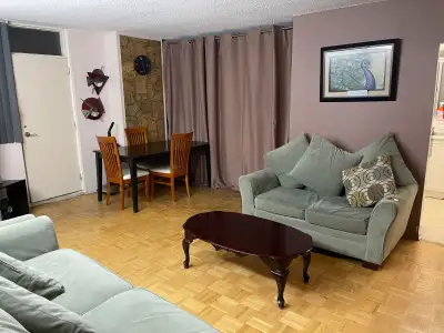 Room Available for student or professional