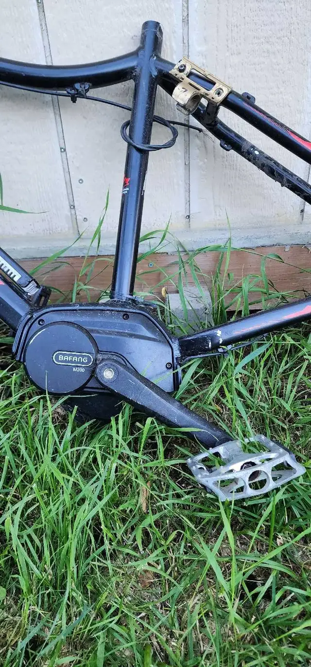 Electric bike motor and body check second picture 