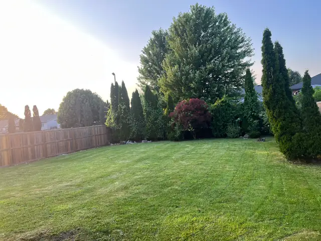 landscaping, yard cleaning. lawcare, gutter cleaning 