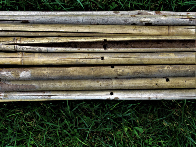 Tiges de Bambou 2 paquets: 23 X 62po. + 24 X 28 a 56 po dans Autre  à Ville de Québec - Image 3