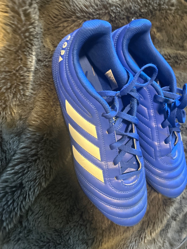 adidas copa cleats blue in Soccer in Kingston