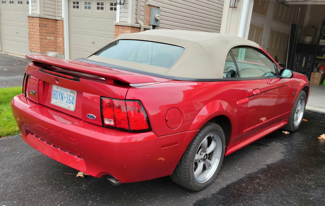 Mustang Convertible GT in Cars & Trucks in Kawartha Lakes - Image 3