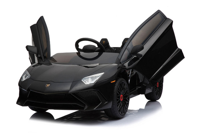 Daymak Lamborghini Aventador in Toys & Games in Bridgewater - Image 4