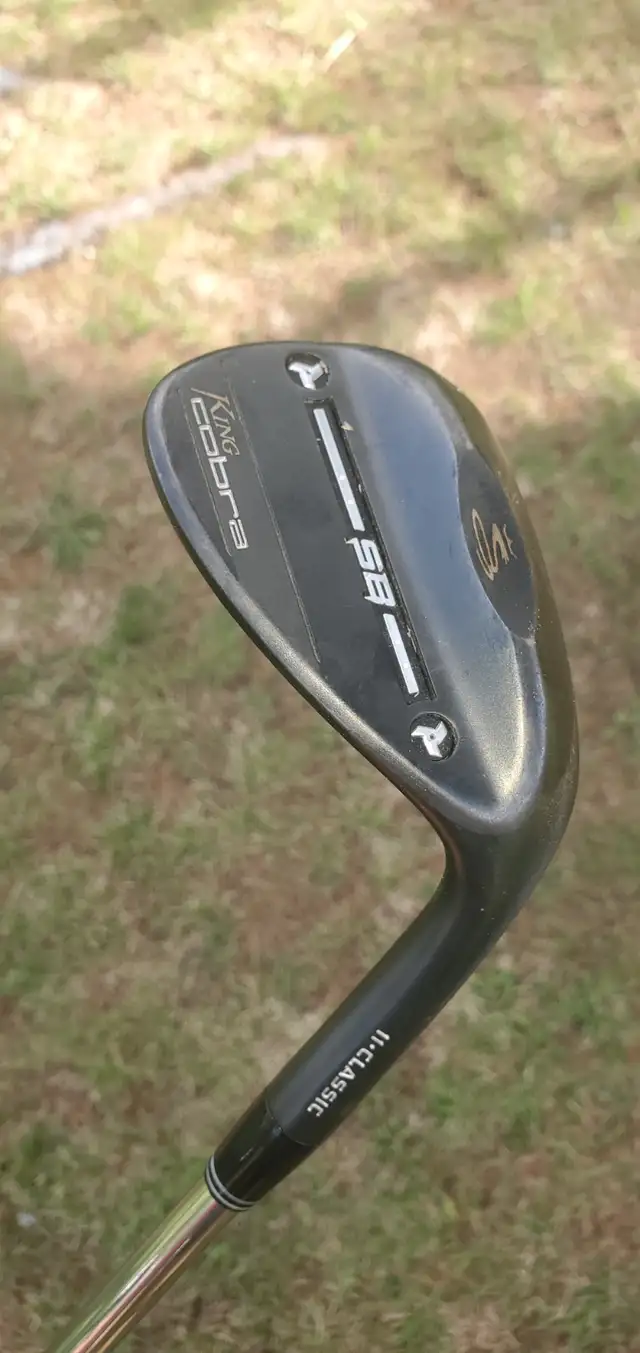 Men's Cobra Set in Golf in Muskoka - Image 7