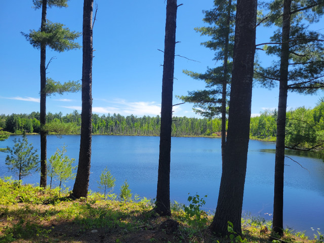 3-Acre Waterfront Lot in Land for Sale in Gatineau - Image 4