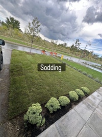 sodding new grass installation  City of Toronto Toronto (GTA) Preview