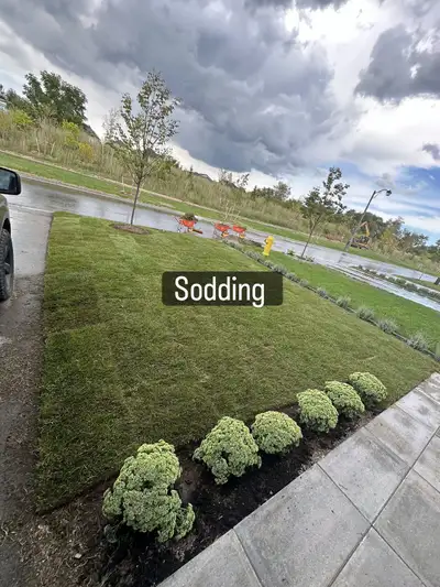sodding new grass installation , View more