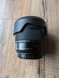 Lumix 12-60 mm zoom lens
