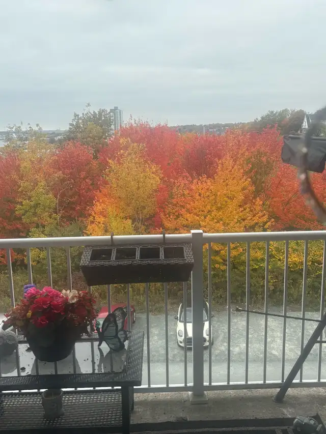 interior painter64170267564545120