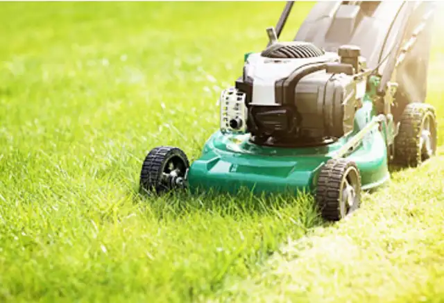 grass cutting and landscaping543429452828528642