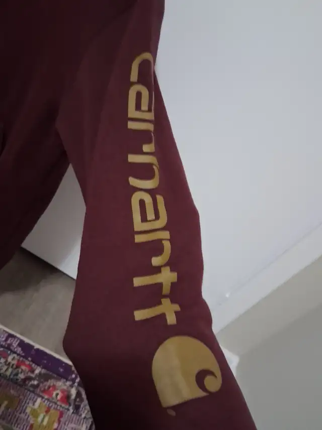 Men's Loose Fit Carhartt Hoodie (Port) in Men's in City of Toronto - Image 3