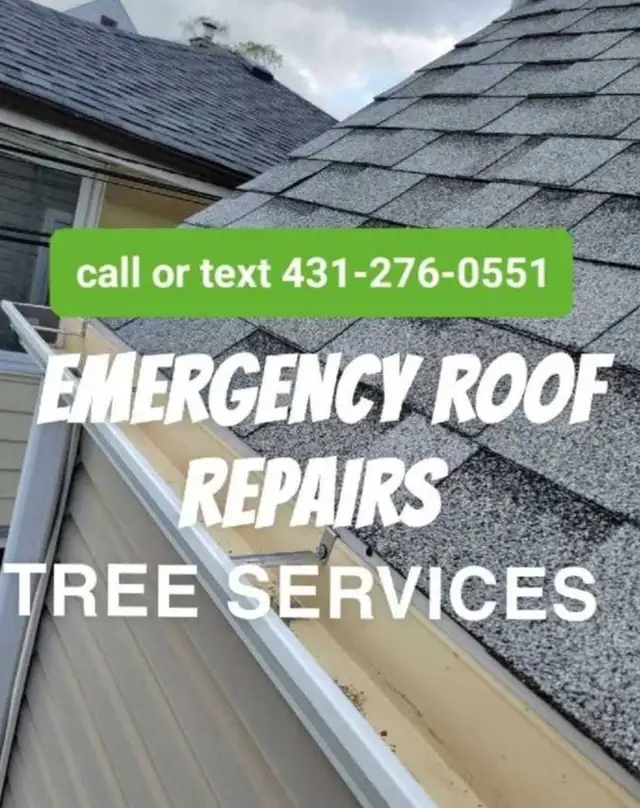 EAVESTROUGH CLEANING, ROOFING, REPAIRS AND MORE 431-276-0551