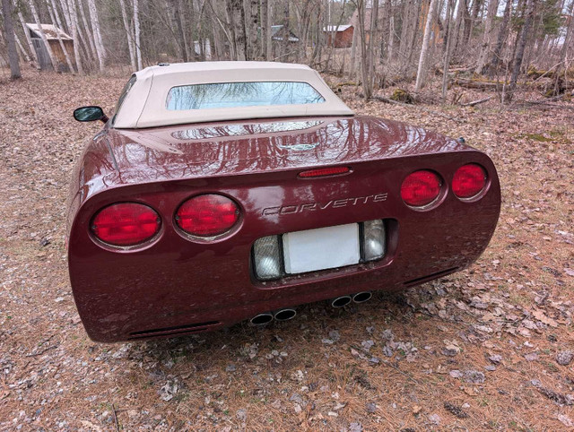 Corvette convertible  in Cars & Trucks in Ottawa - Image 3