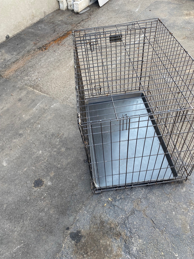 Cage pour chien et chat 35.00 in Accessories in La Ronge