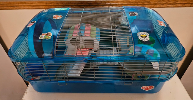 Hamster Needs in Accessories in London