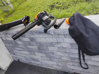Worx soufleuse puissante avec sac   et electrique, View more