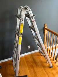 Multi task ladder 21’