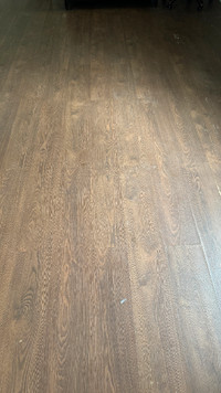 Free laminate floor