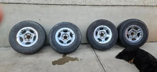 1999 Ford Expedition585100252634818568